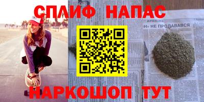 прущие грибы Бийск